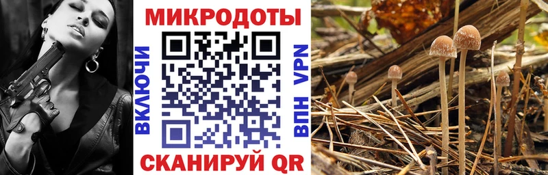 Галлюциногенные грибы ЛСД  магазин продажи   Ярцево 